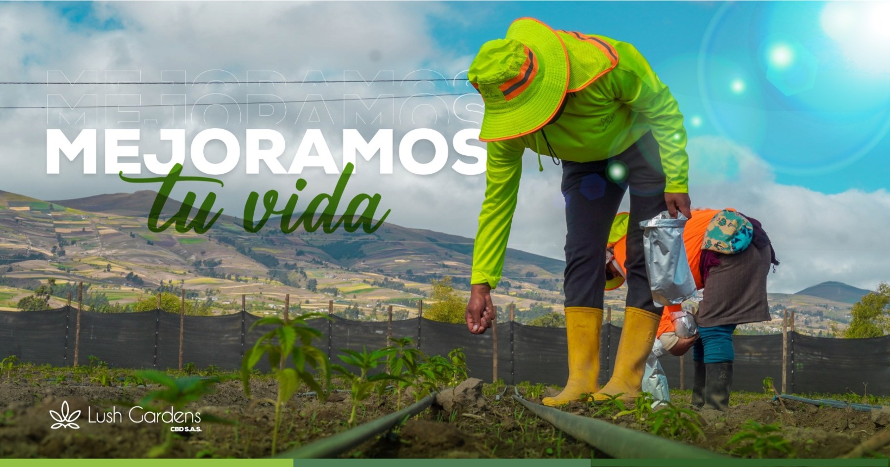 Imagen de la sección 1